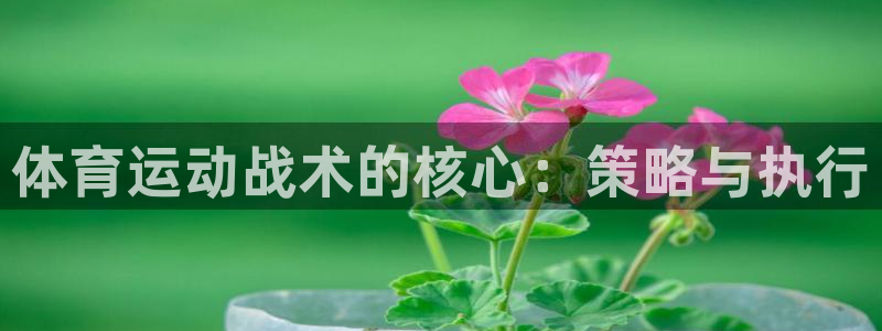 ug环球官网登录入口