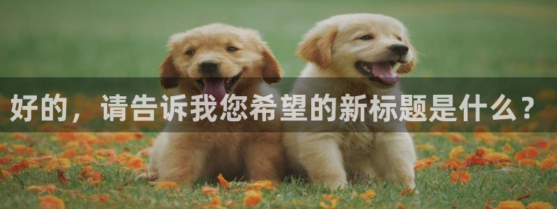 ug环球官网注册