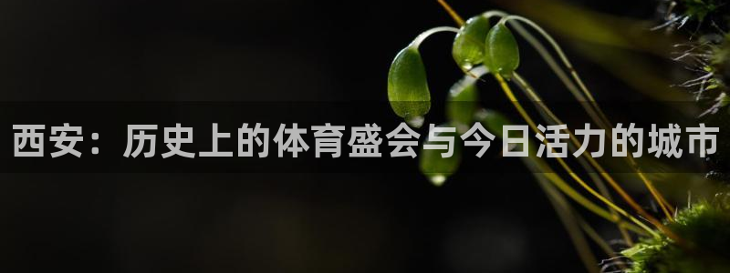 ug环球官网