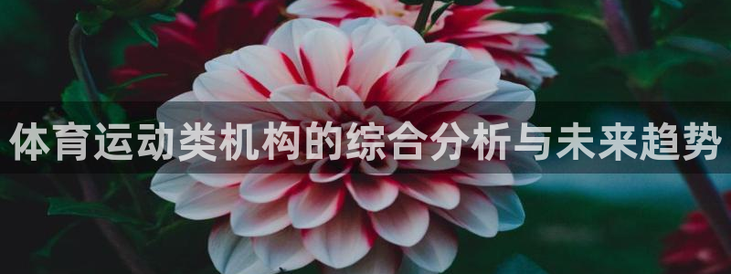 ug环球官网注册