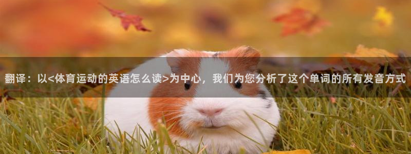 ug环球官网